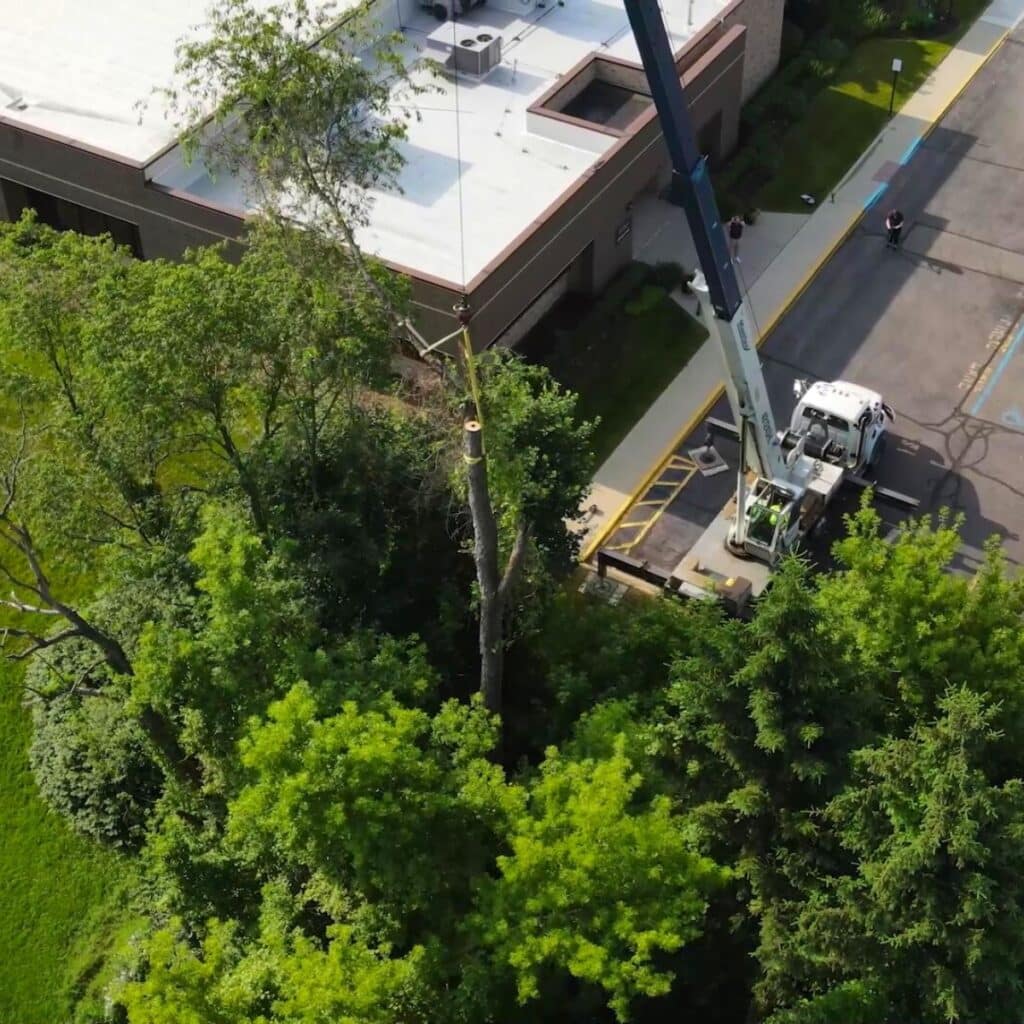 Affordable Crane Rental Truck Removal Michigan Job Day S